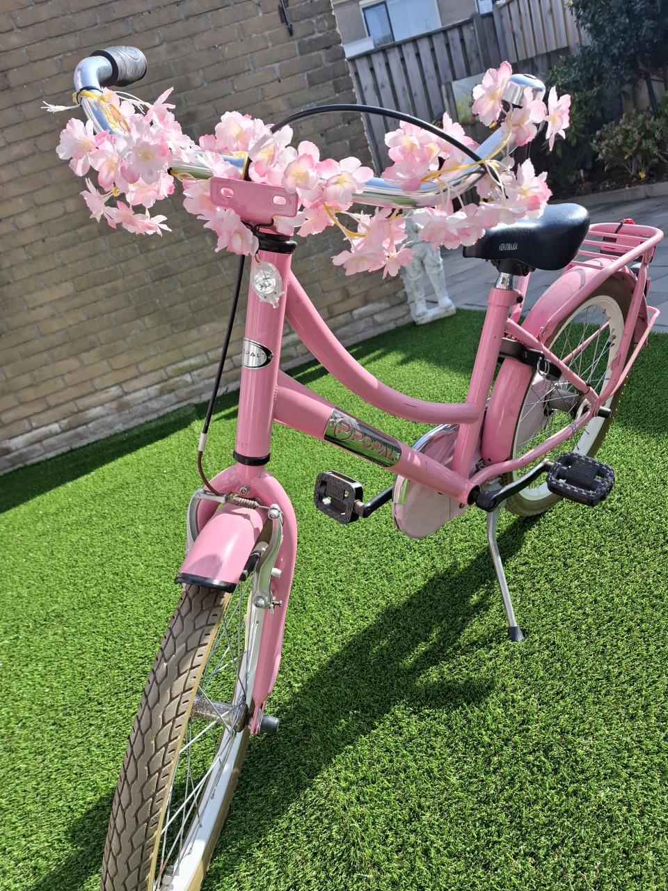 Kinderfiets 20inch