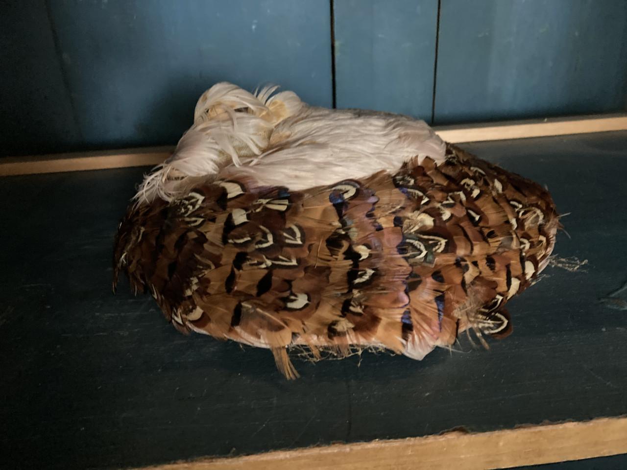 Hoedenmal hout hoedje