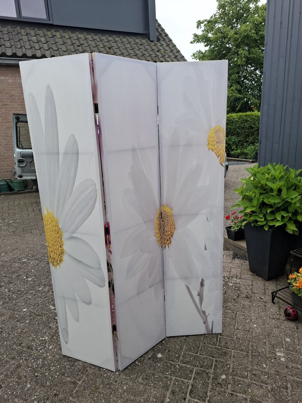 Prachtig kamerscherm