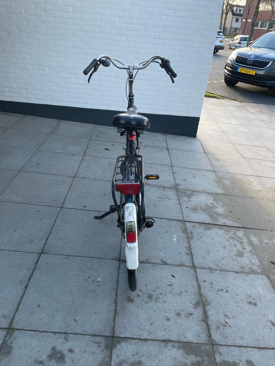 Danesfiets/ stationsfiets.