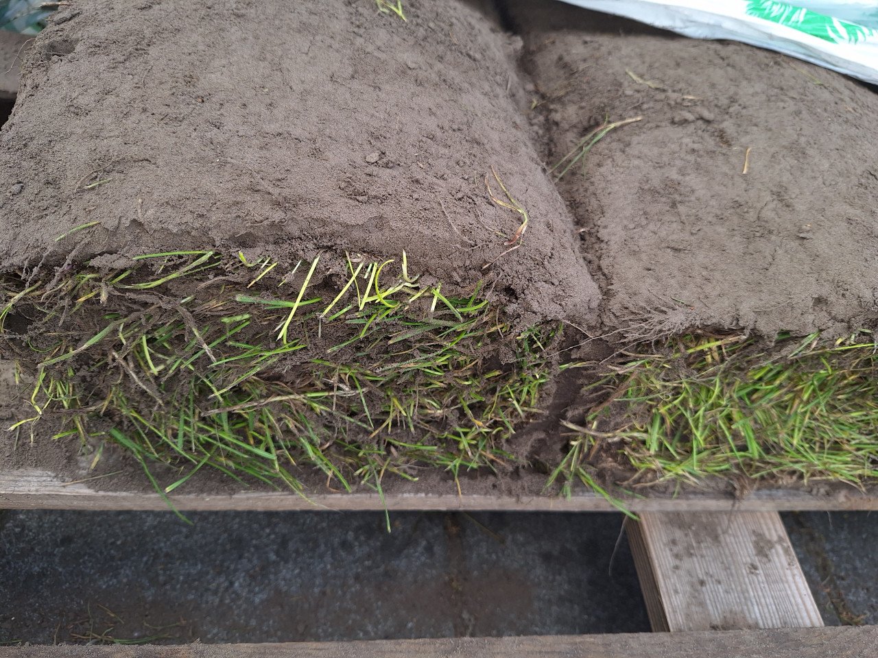 Speelgras  40 cm× 250 , 4 stuks