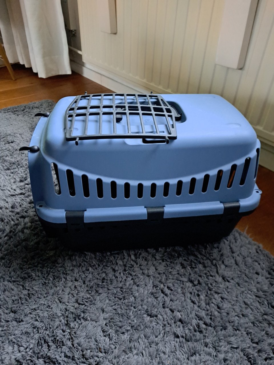 Kattenreismand