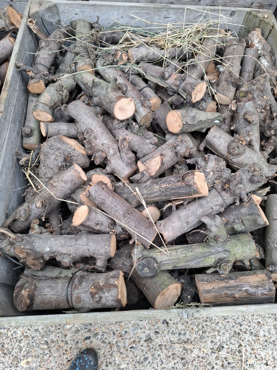 Droog fruitbomen hout te koop