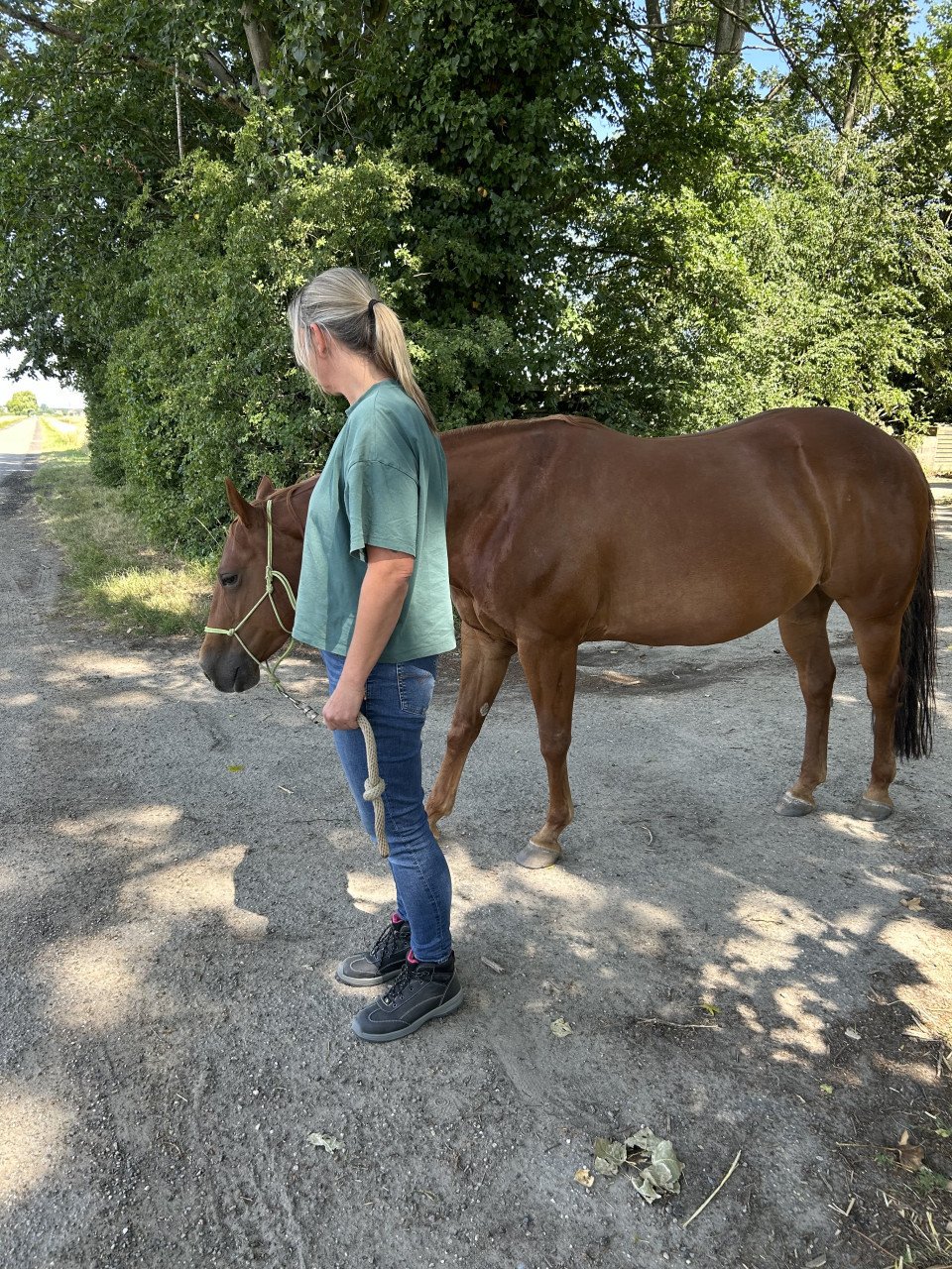 # Equi Pride # Gedrag, Grondwerk, Rijden, Natural Horsemanship etc.
