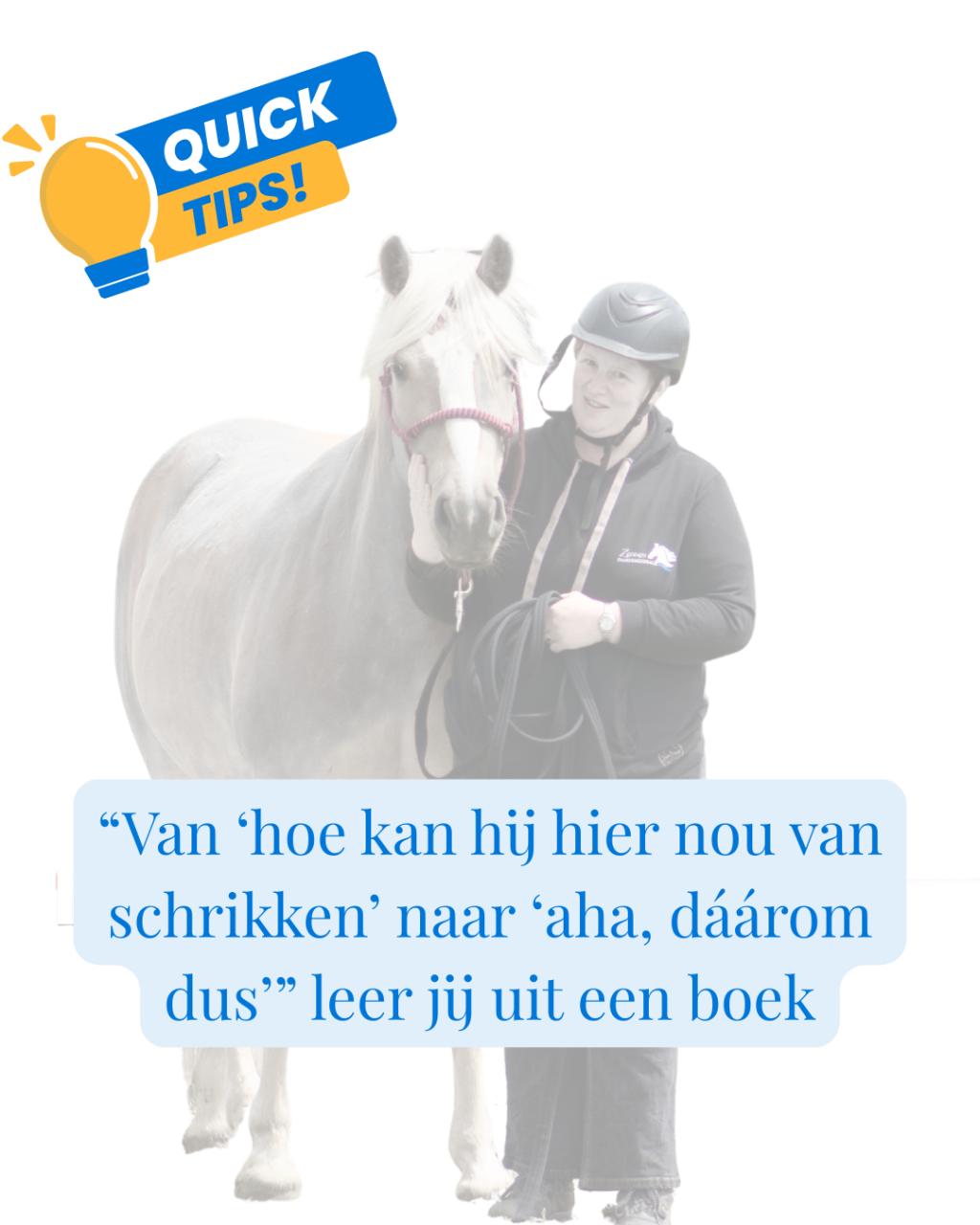 Wie heeft er hulp nodig, jij of je paard?!