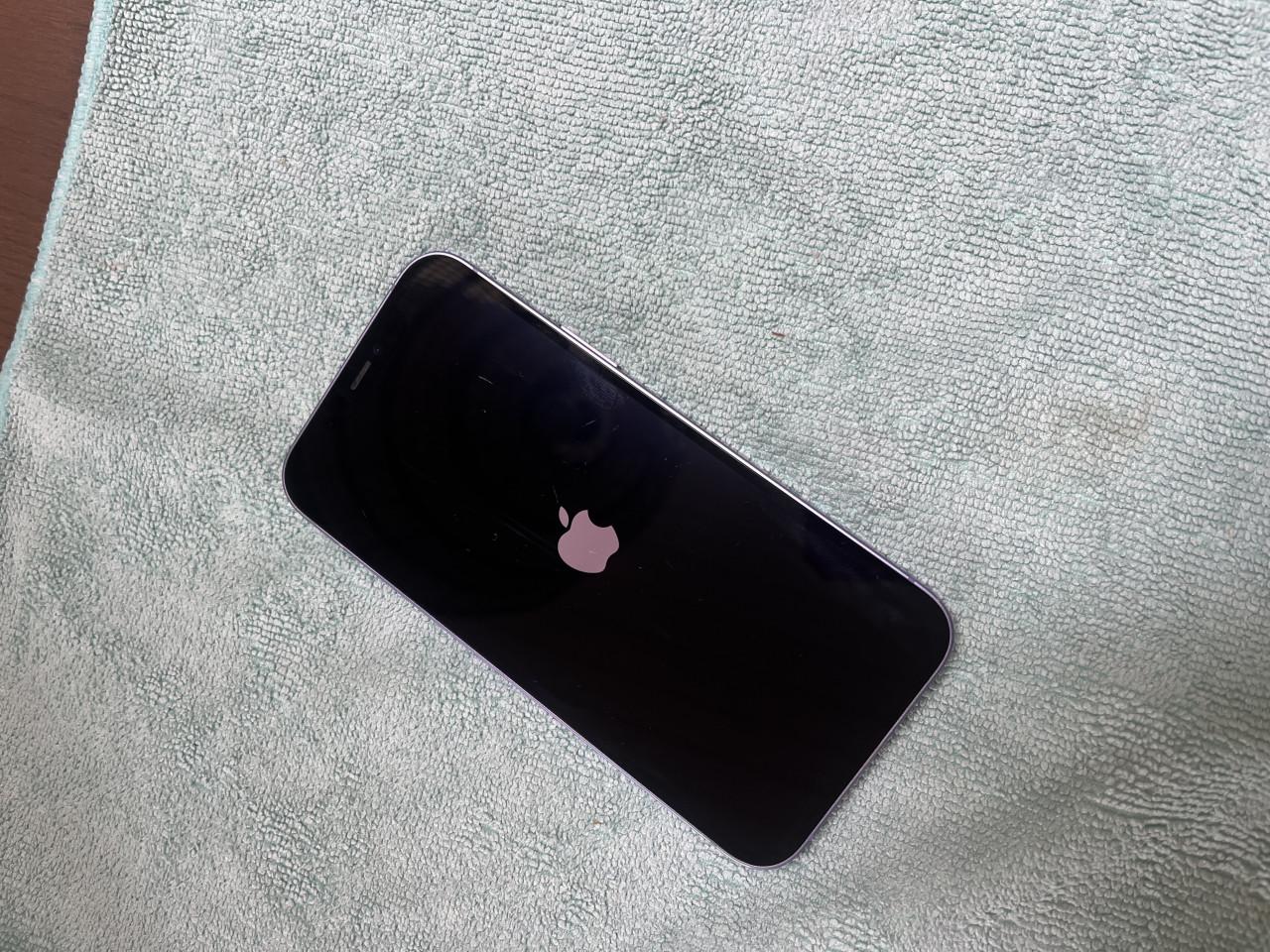 Net afgewerkte iPhone 12 [64GB] - Purper/voilet - Inclusief accessoires