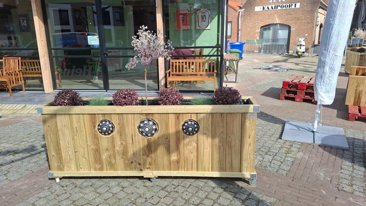 Zeeuwse knop bloembakken projecten ter inspiraties L200 x B35 x H85