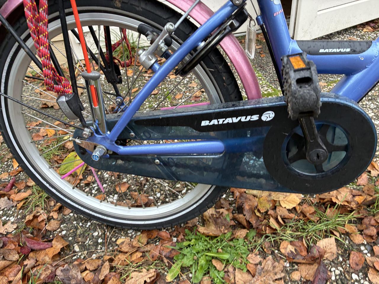 Leuke kinderfiets van Batavus