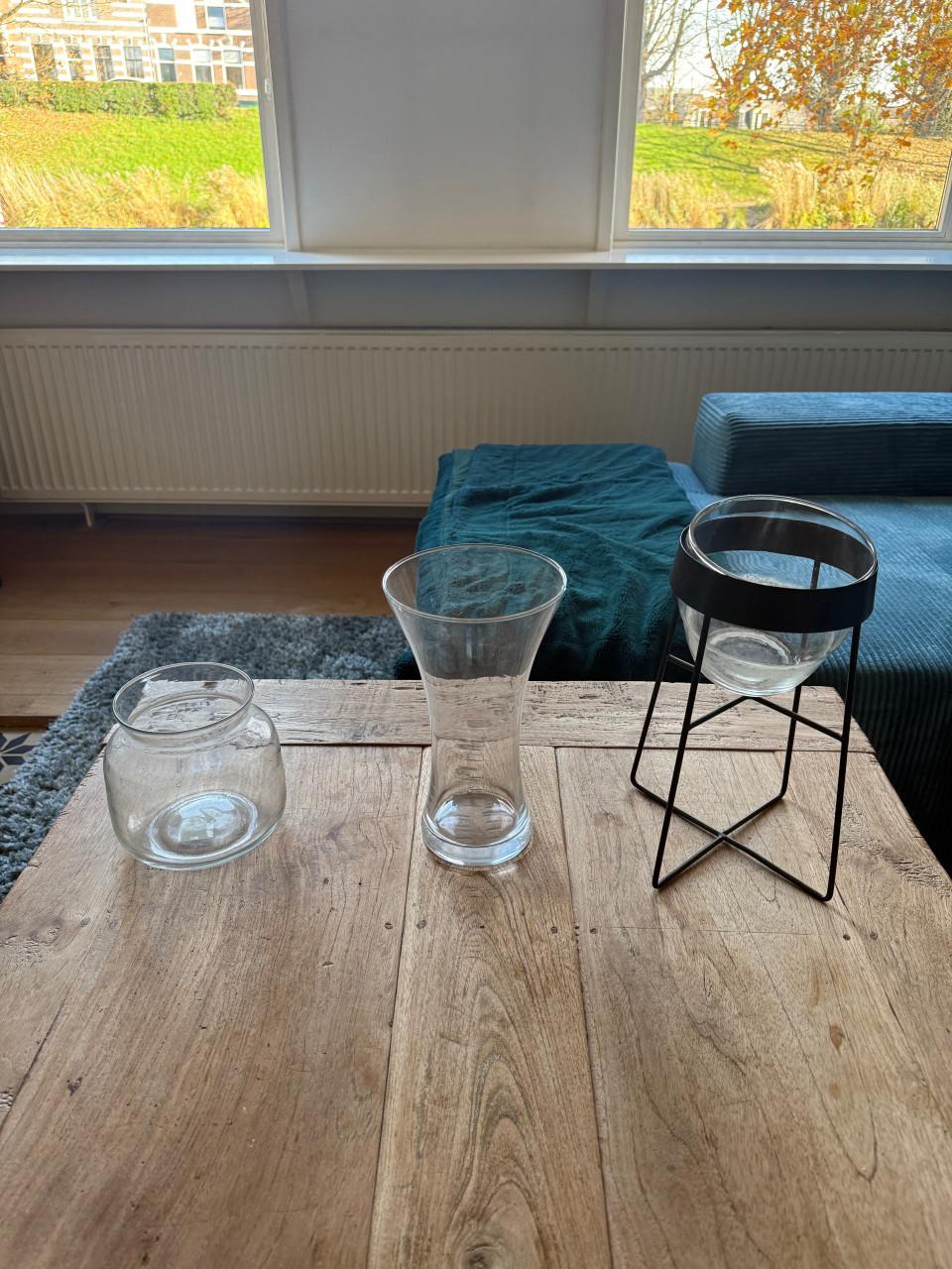 Glazen vazen in diverse vormen en groottes