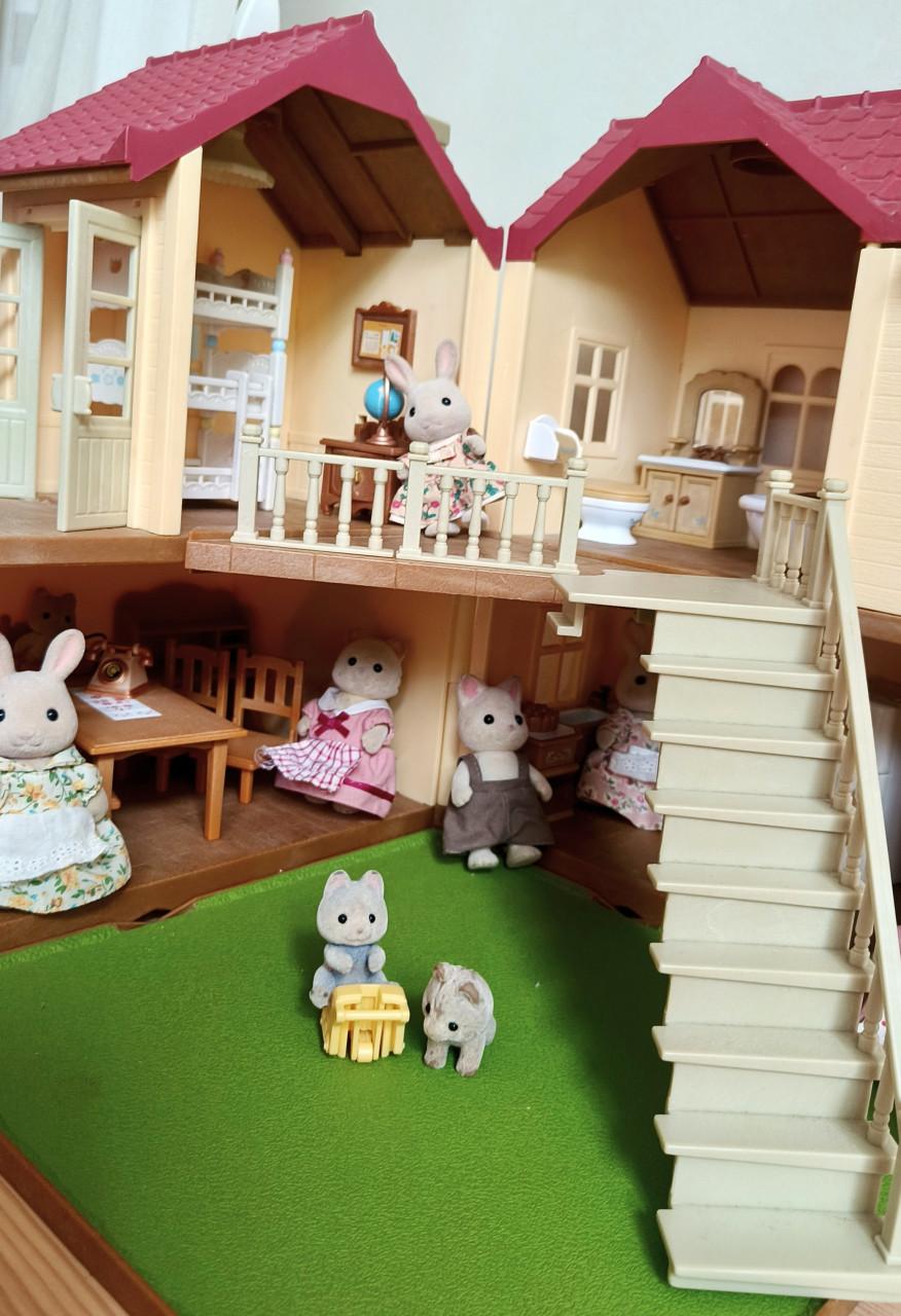 Grote set Sylvanian Families