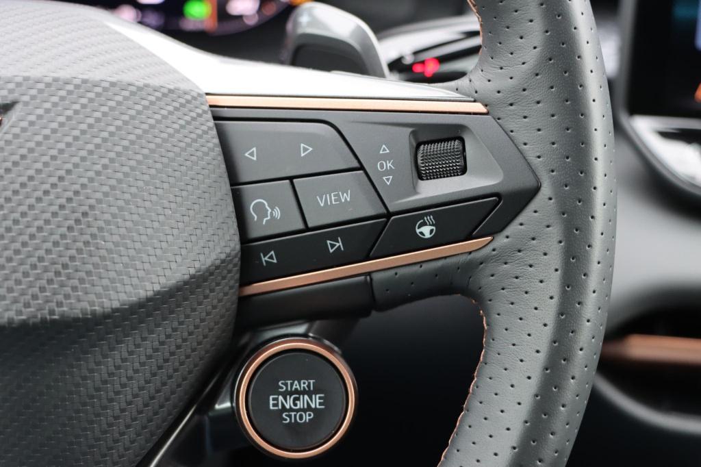 Cupra Terramar 1.5 tsi ehybrid business 204pk dsg6