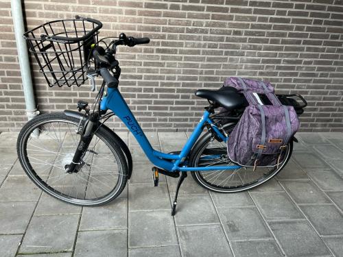 Elektrische stadsfiets, Puch E-folk N3