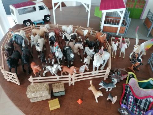 Schleich manege,mobiele dierenarts, paarden ,stalletje, enz.