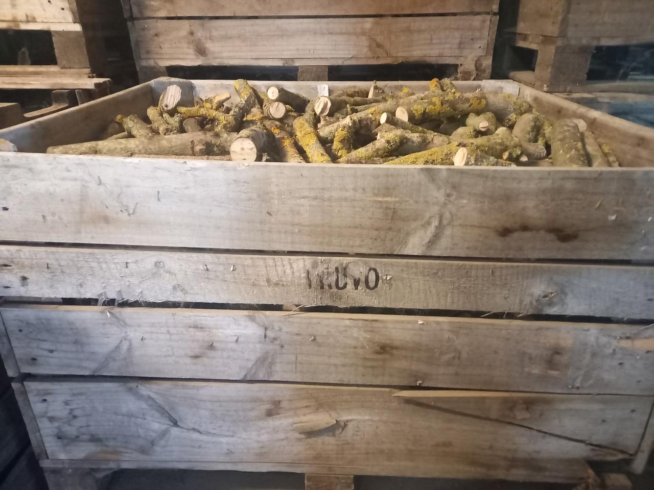 Haardhout diverse soorten los in kist gezaagd/evt-gekliefd €50-120/m3 droog