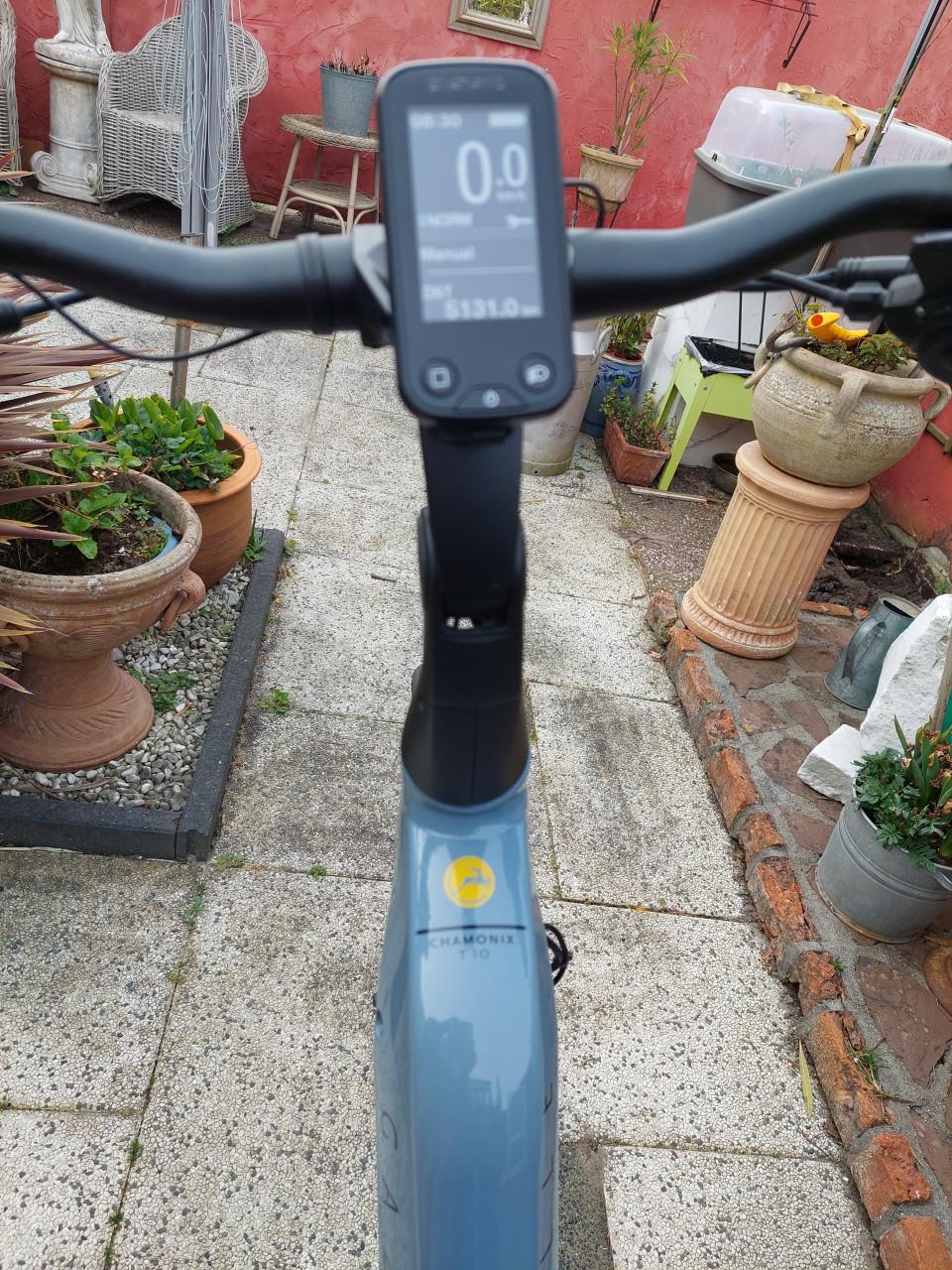 Gazelle Chamonix T10 grey/blue 53