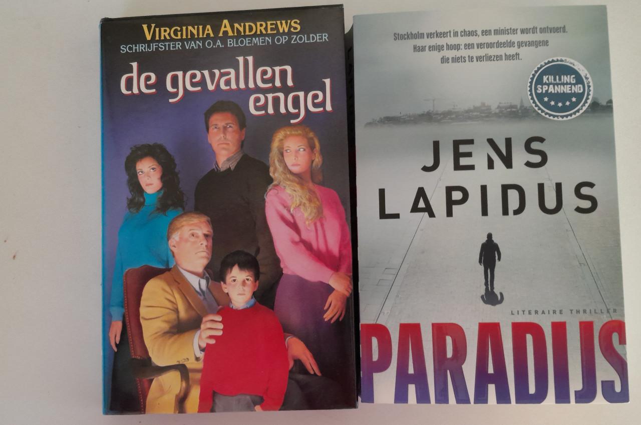 Virginia Andrews - De gevallen engel.