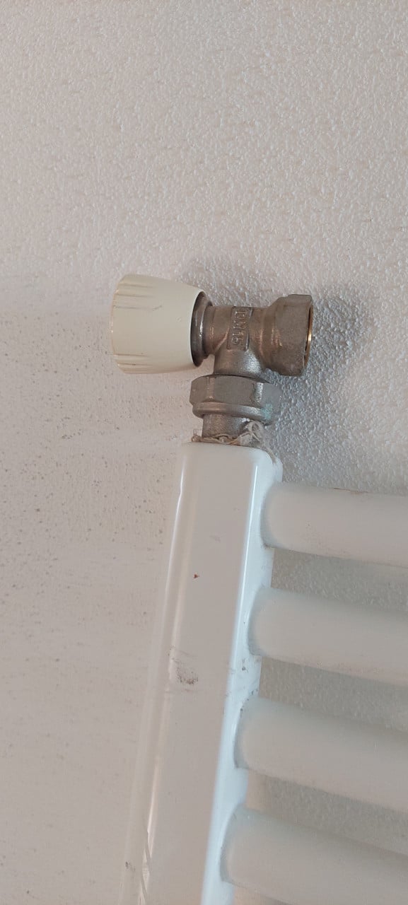 Radiator wit Vasco badkamer