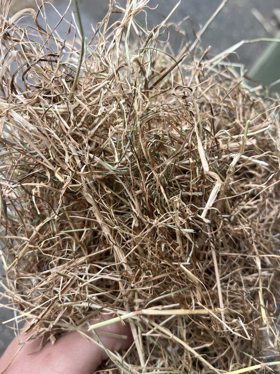 Engelsraai graszaadhooi