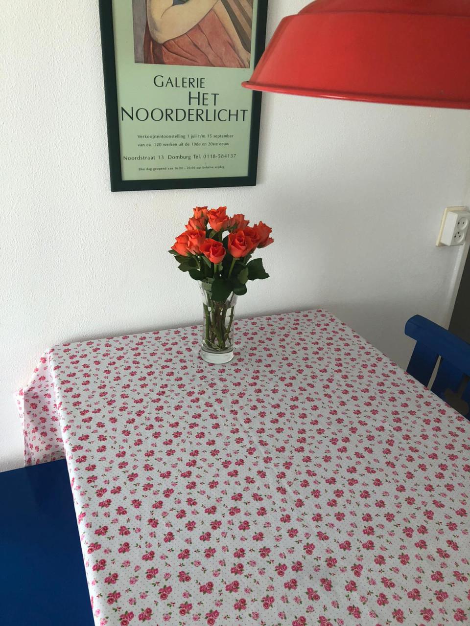 Vakantiewoning  Te Huur vlakbij bos en zee in Oostkapelle