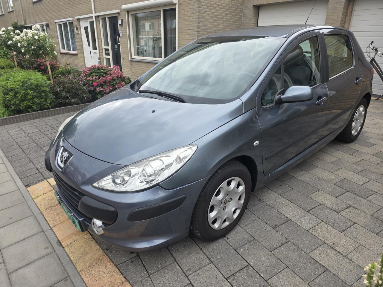 Tekoop zeer nette Peugeot 307 XT 1.6 16V