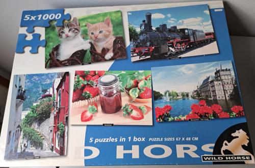 Puzzel 5 x 1000 stukjes wild horse.