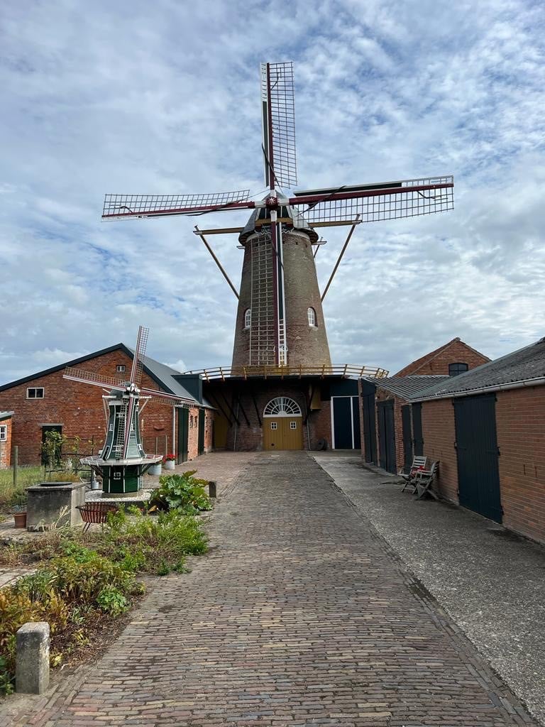 Open monumentedag Molen De Graanhalm Gapinge