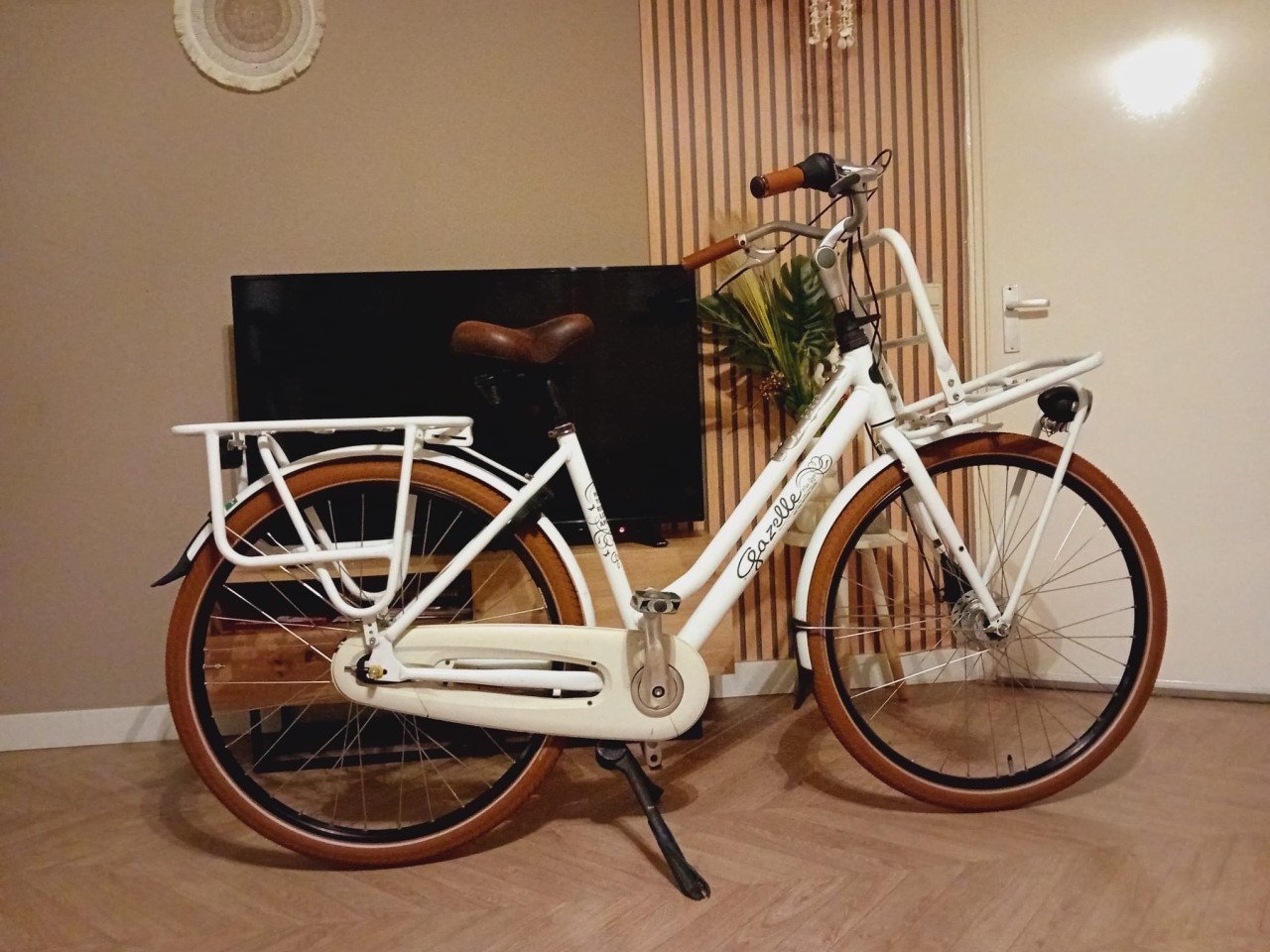 Mooie Gazelle Miss Grace Z.G.A.N.