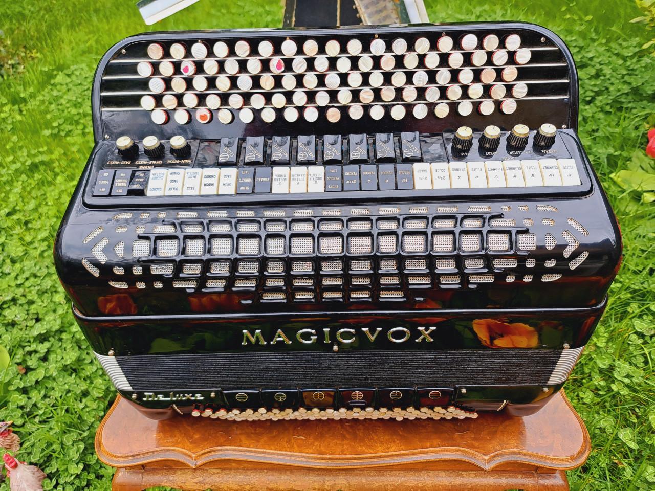 Akordeon/accordion/fisarmonica/ Akkordeon