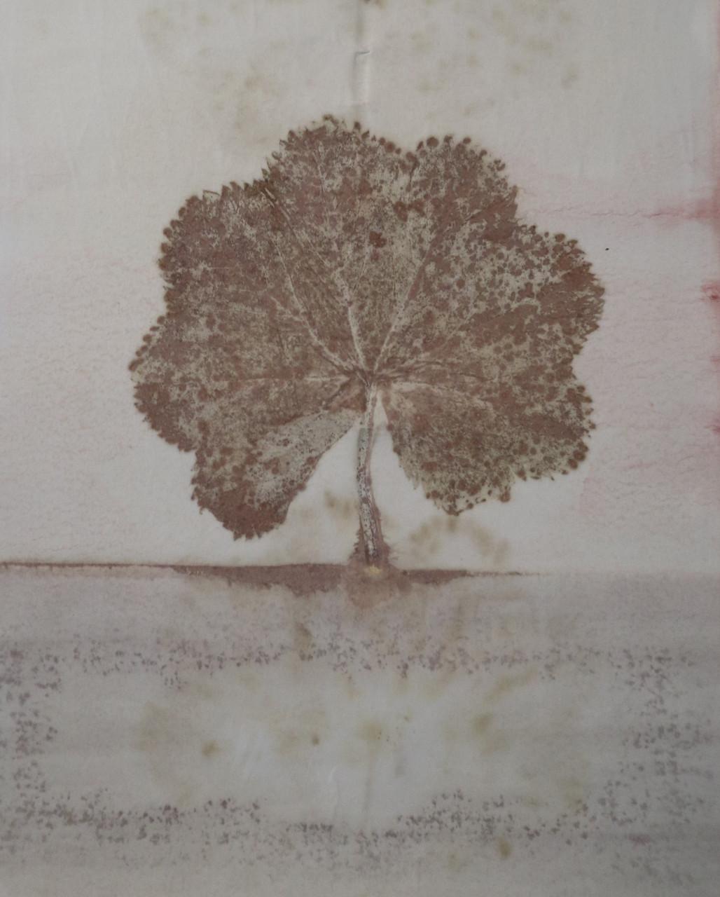 Workshop Ecoprinten op stof en papier 13 december