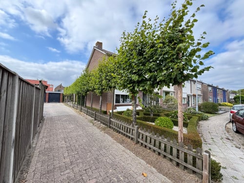 Leilindebomen