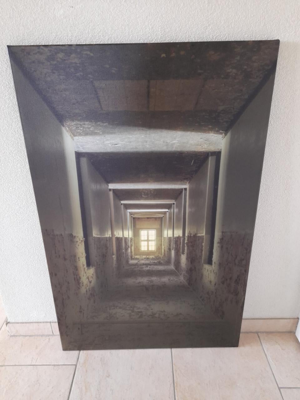 2 Canvas schilderijen  65 x 100 (in goede nette staat)  €15 per stuk