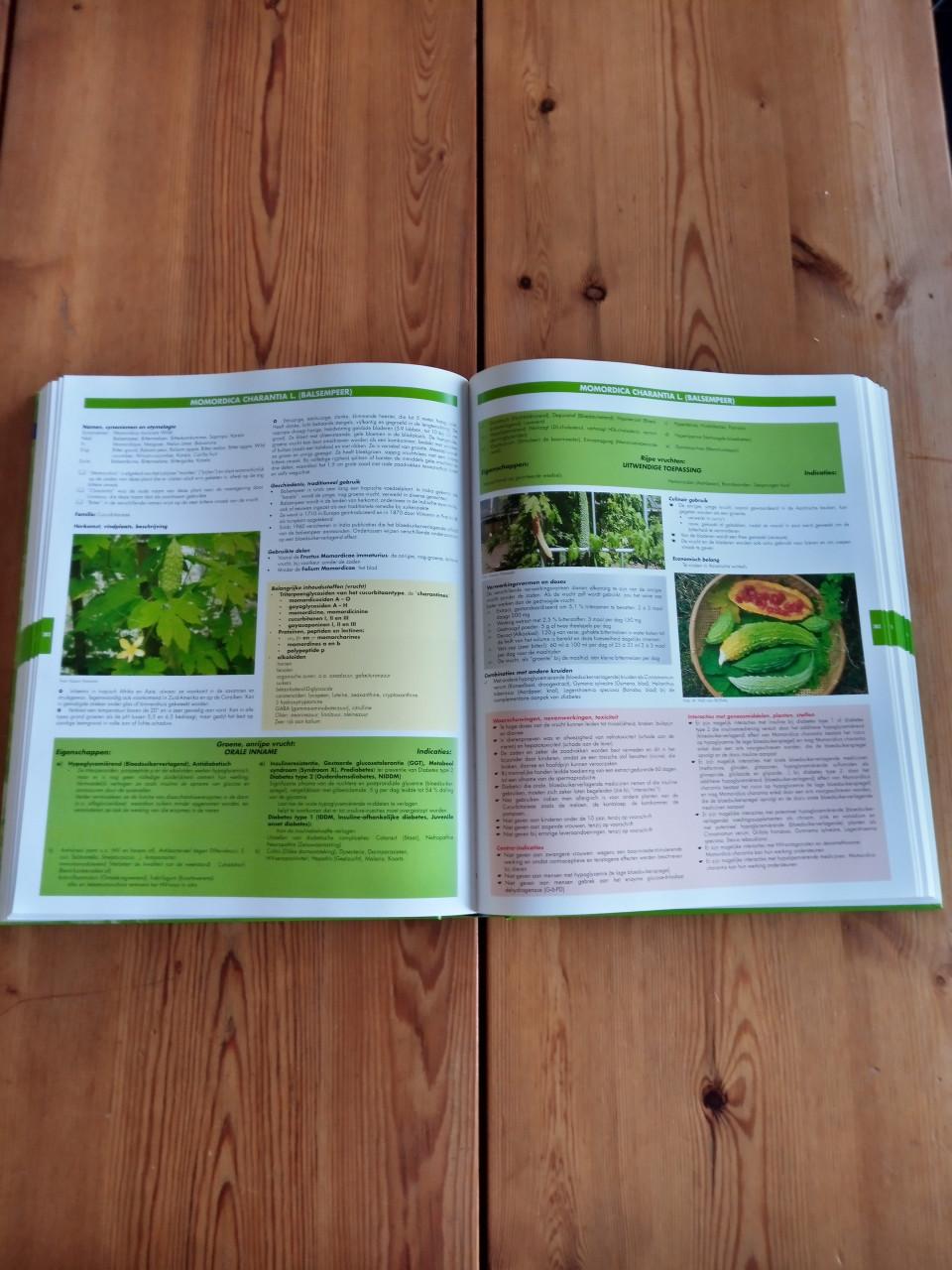 Groot Handboek Geneeskrachtige Planten