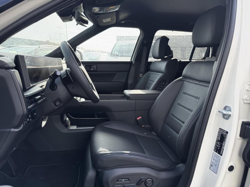 Hyundai Santa Fe 1.6 t-gdi phev black line 4wd 6p. cyber sage lakkleur