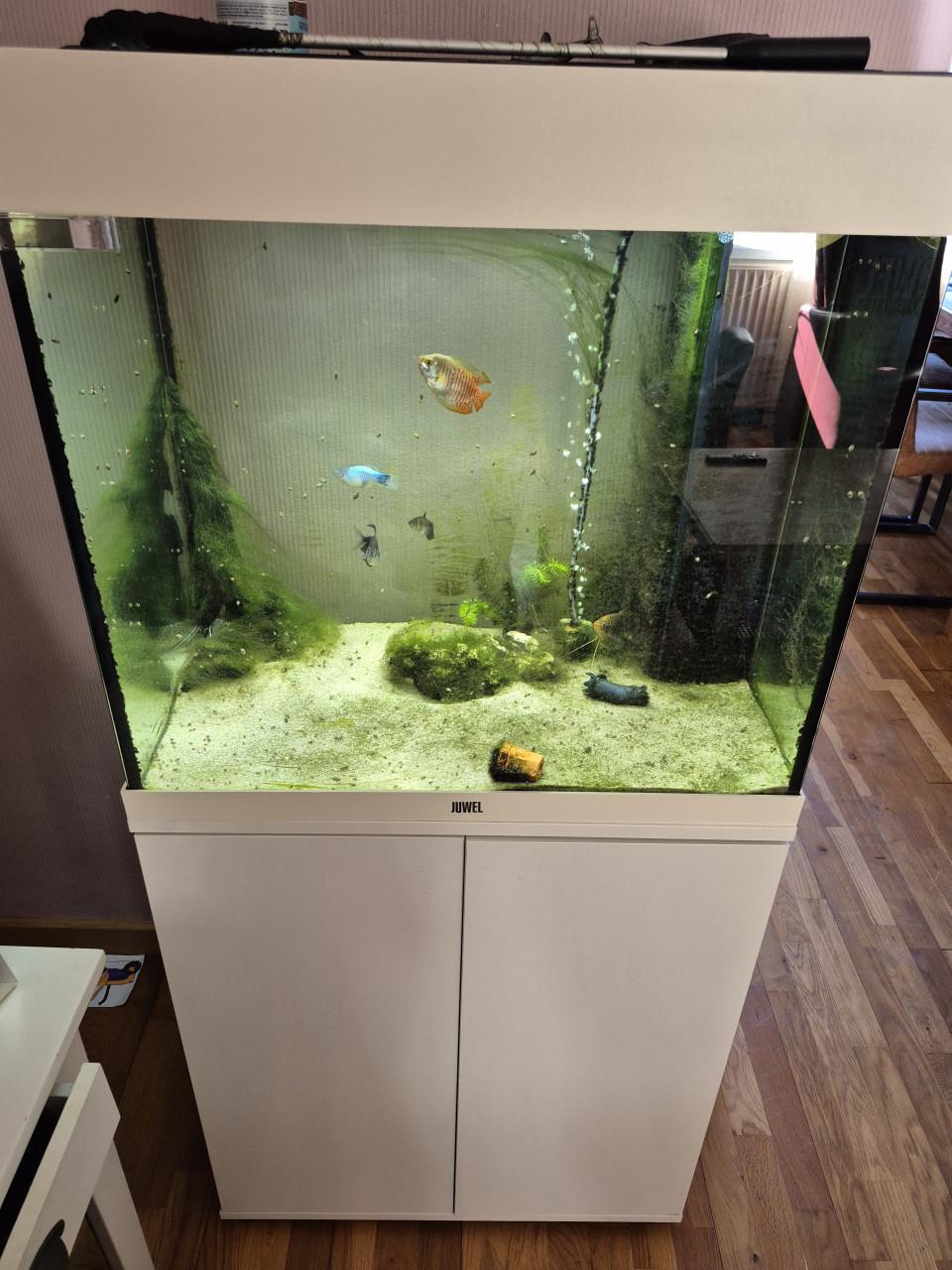 Aquarium