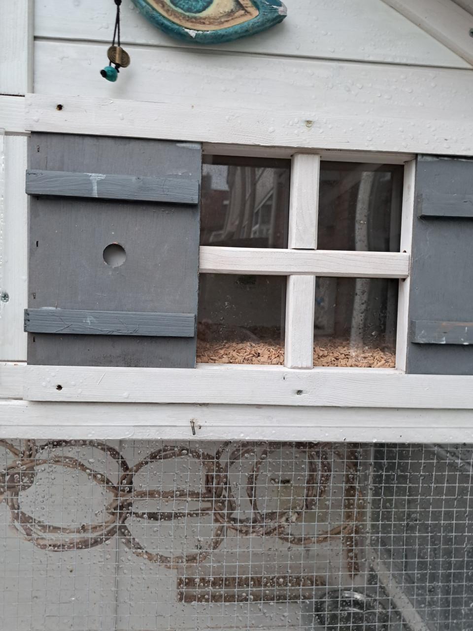 Voliére  Sarah Large