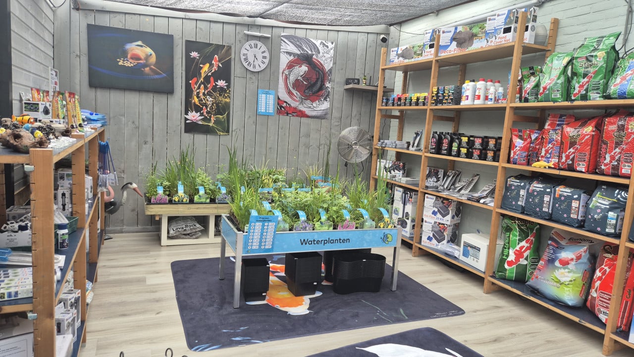 10% korting bij maorikoishop