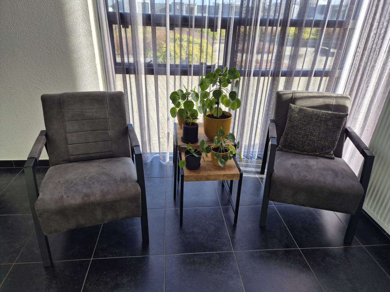 Fauteuil Microleder (2 stuks)