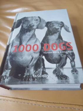 1000 dogs, fotoboek over honden