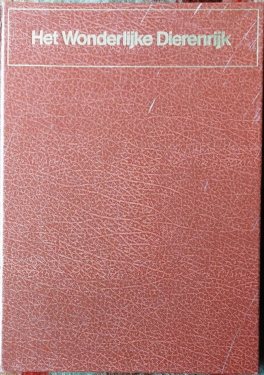 Romantisch Boek