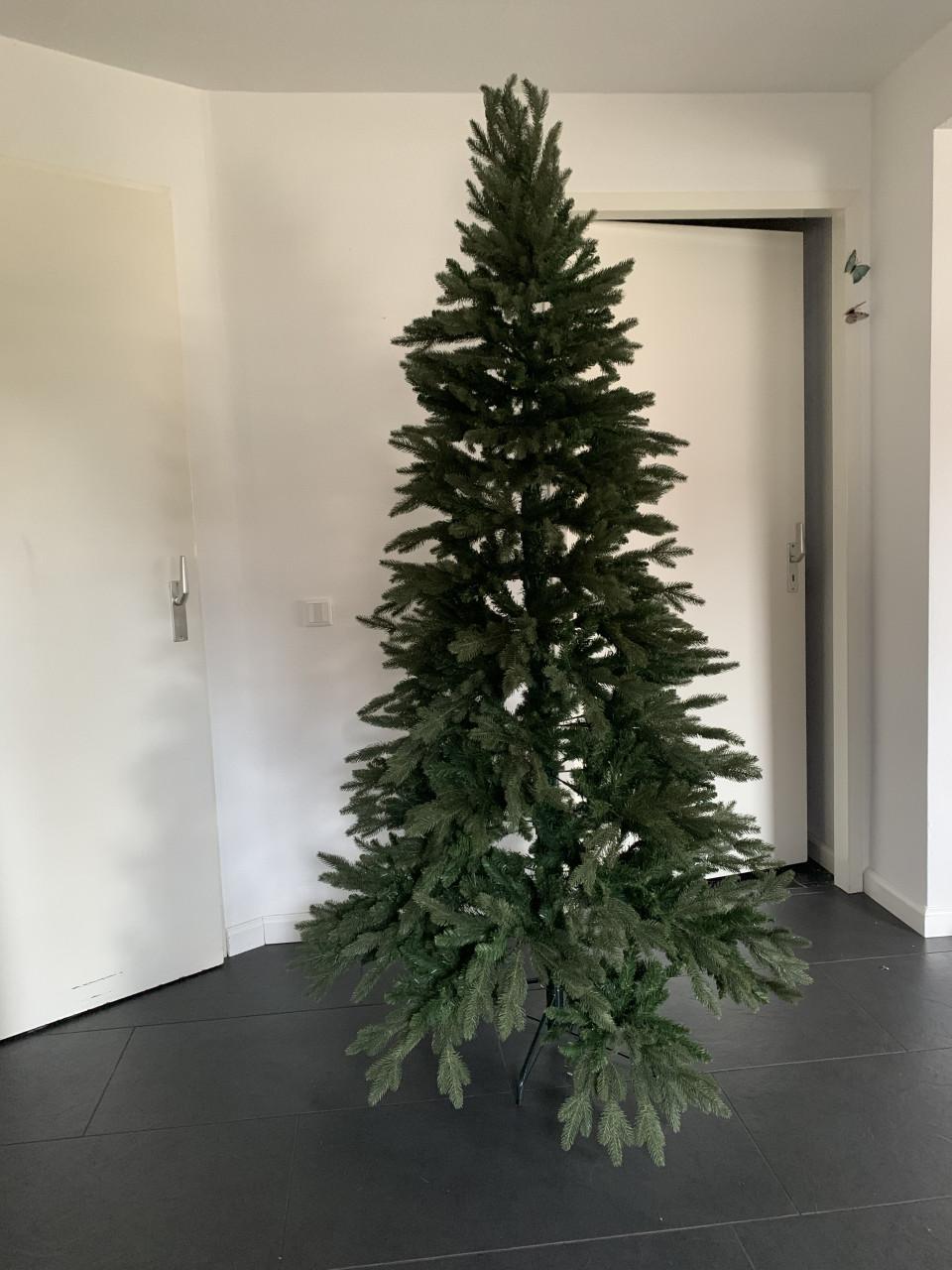 Kerstboom