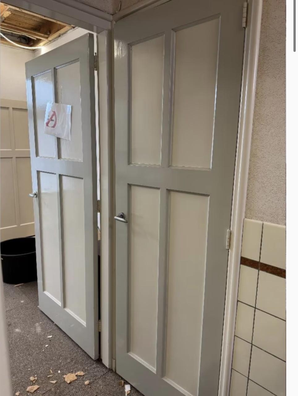 Paneeldeuren 13 stuks (203 bij 82,5)