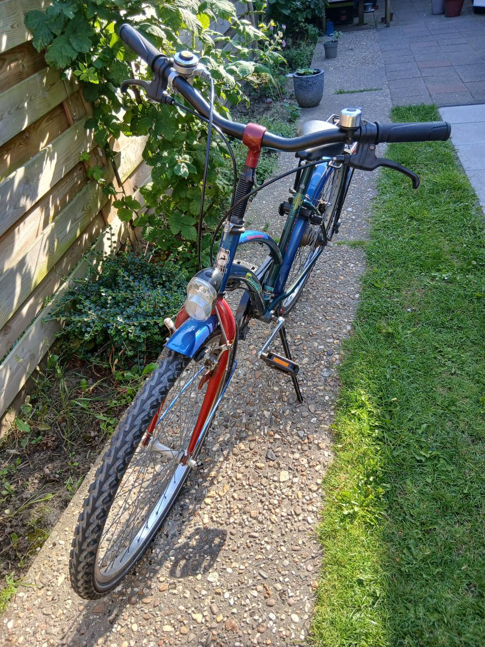 Gazelle 26 inch