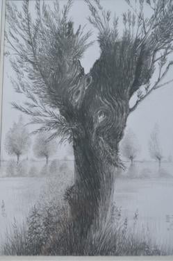 9 x Hendrik Voskuijl (1893 - 1980) potloodtek. bomen (2) o.a. Ommen
