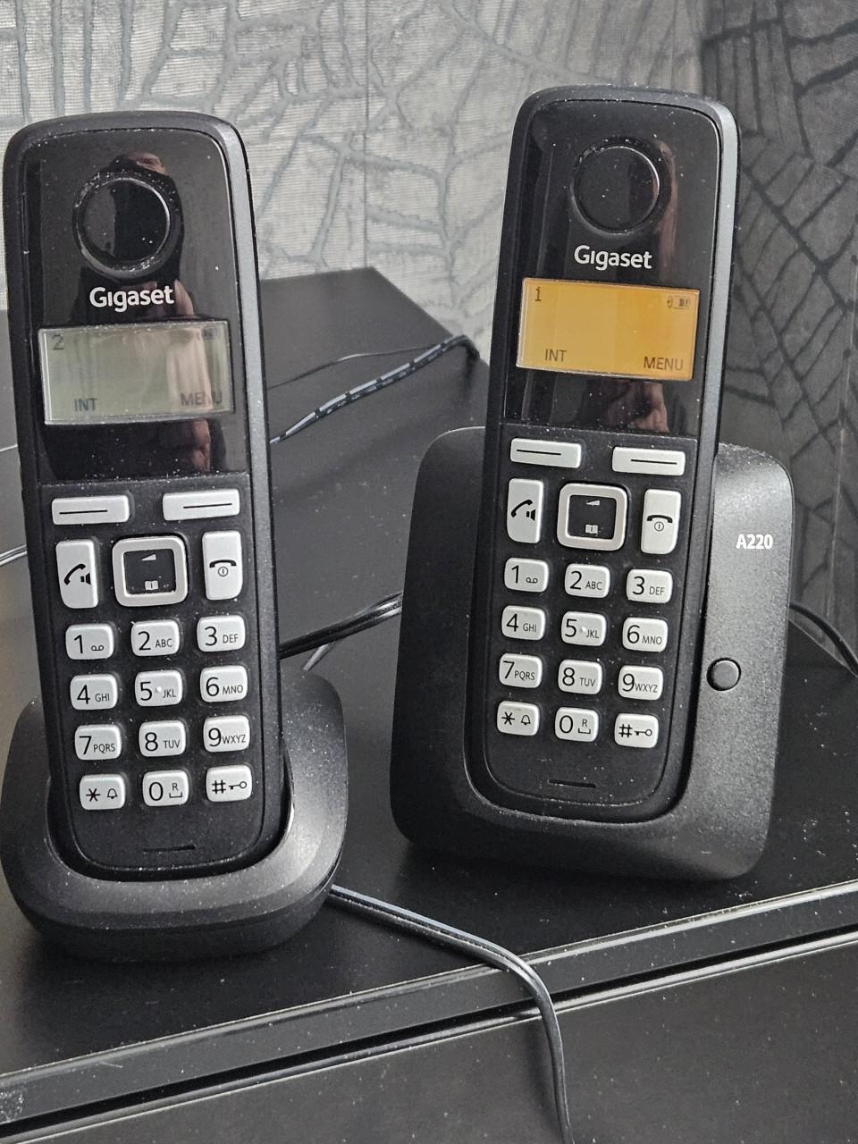 Gigaset A220 Duo v2 - Duo DECT telefoon