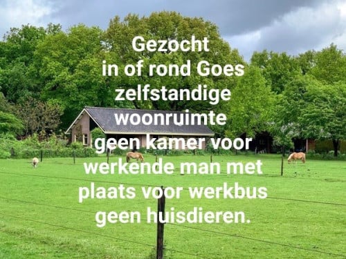 Gezocht Woonruimte