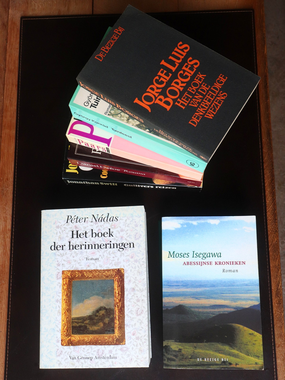 Wereldliteratuur in Nederlandse vertaling