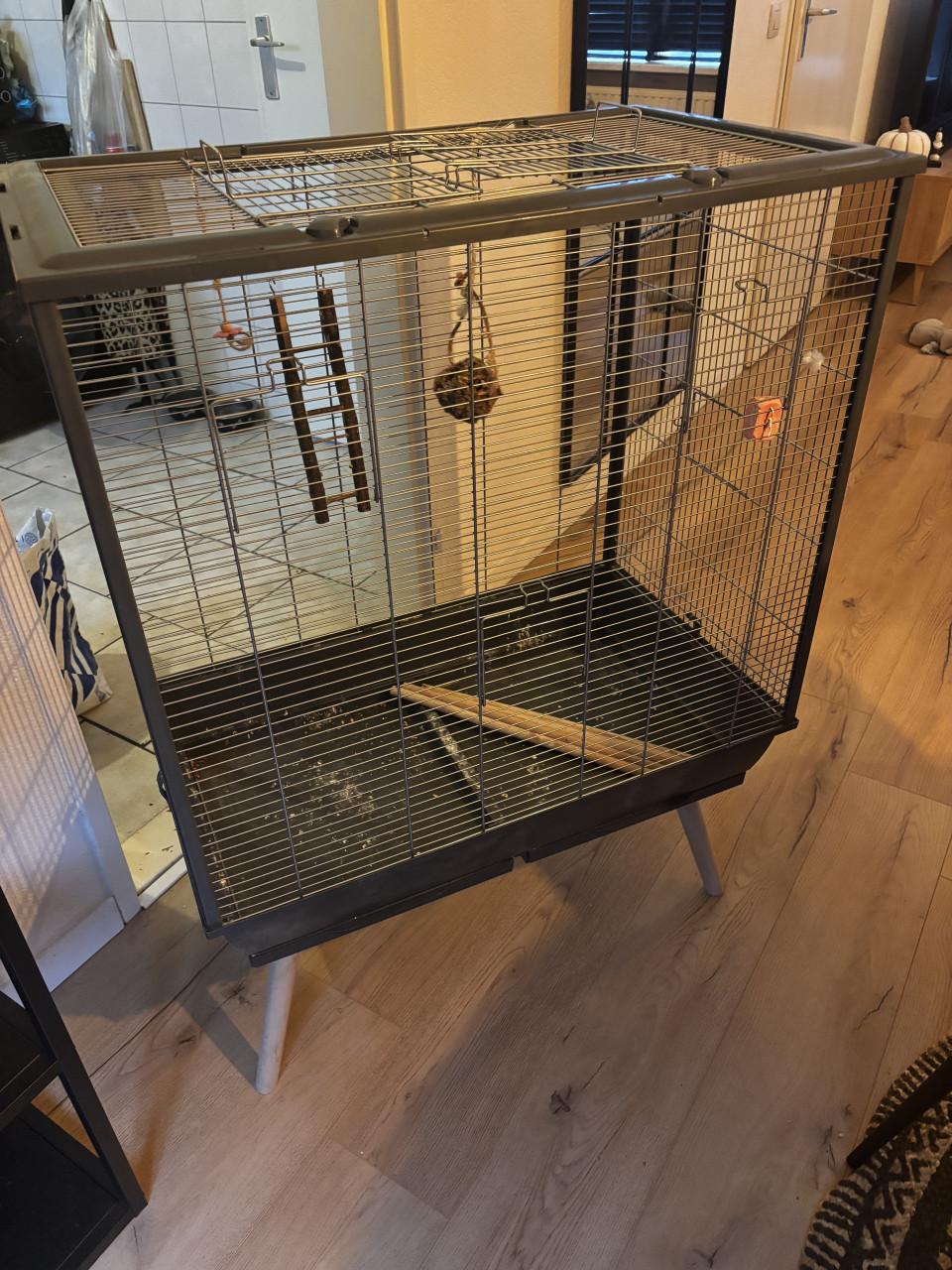 Mooie grote vogelkooi