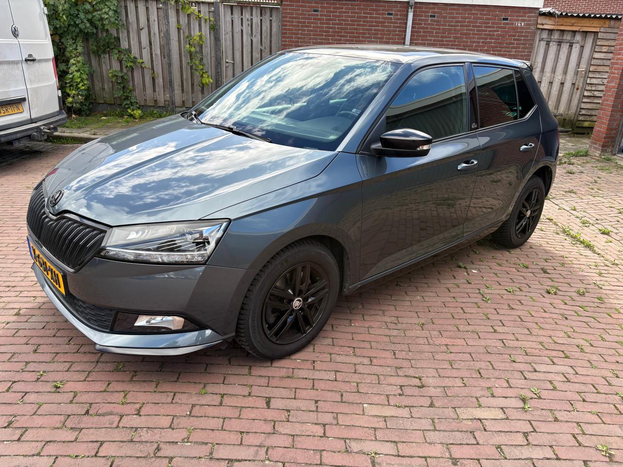 Skoda Fabia 1.0. DSG Monte Carlo
