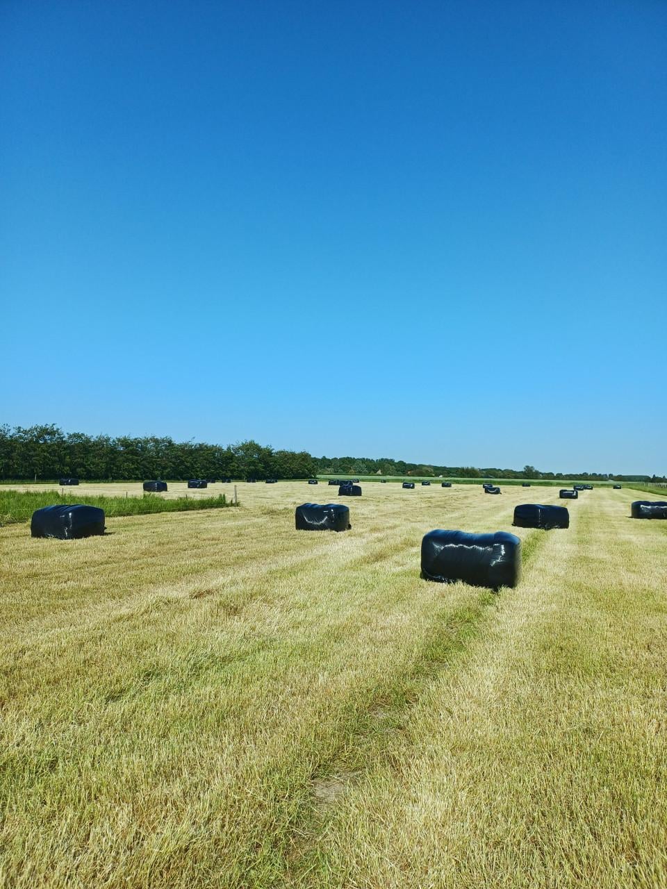 Balen weidegras eerste snee