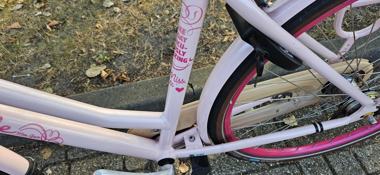 Gazelle Miss Grace Unieke Roze damesfiets